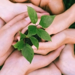 Волонтеры помогают людям с игровой зависимостью в реабилитации